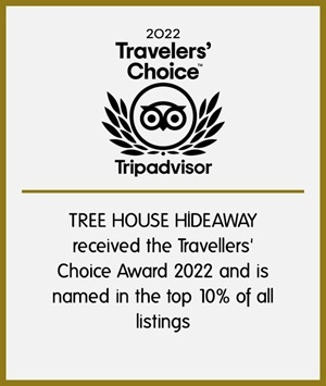 tripadvisor