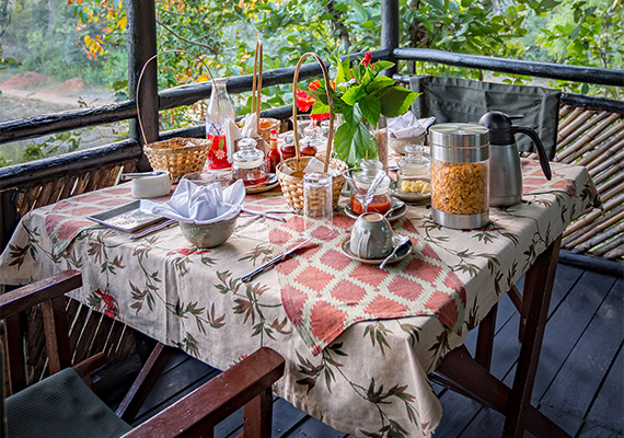 Alfresco Safari Breakfast