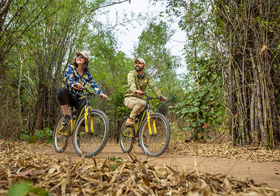 Cycling in Bandhavgarh
