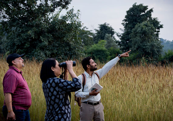 Nature in Bandhavgarh