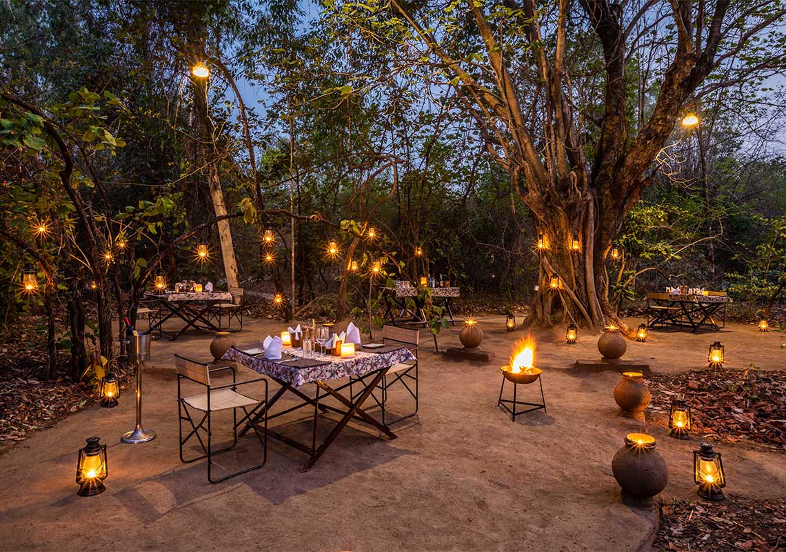 Dining in Treehouse Hideaway