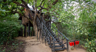 Resorts in Bandhavgarh