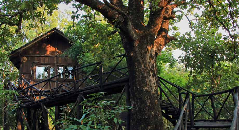 Luxury Resort in Bandhavgarh