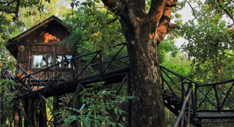 Luxury Resort in Bandhavgarh