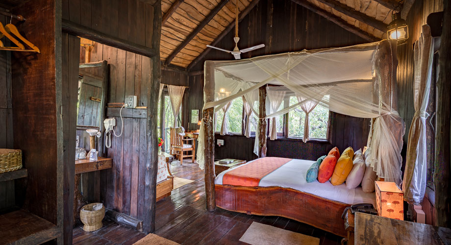 Treehouse in Bandhavgarh