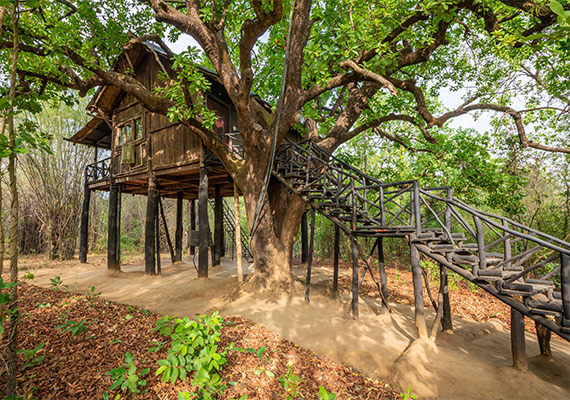 Dining in Treehouse Hideaway