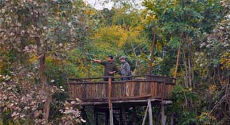 Resorts in Bandhavgarh