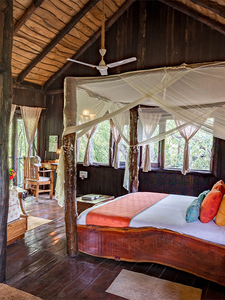 Tree House Hotel in Bandhavgarh