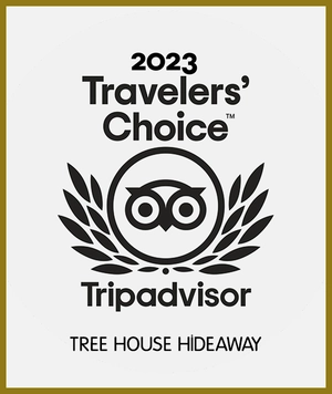 tripadvisor