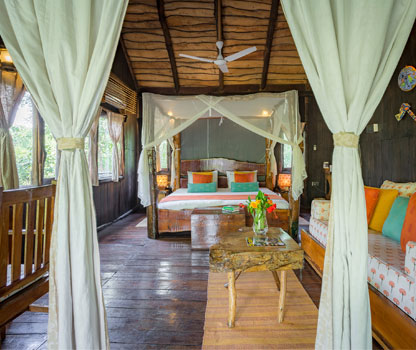 Luxury stay in Bandhavgarh