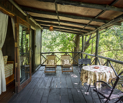 Treehouse Hideaway in Bandhavgarh