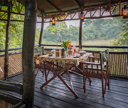 Treehouse stay in Bandhavgarh