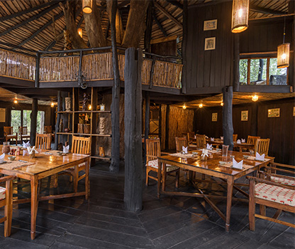 Treehouse in Bandhavgarh