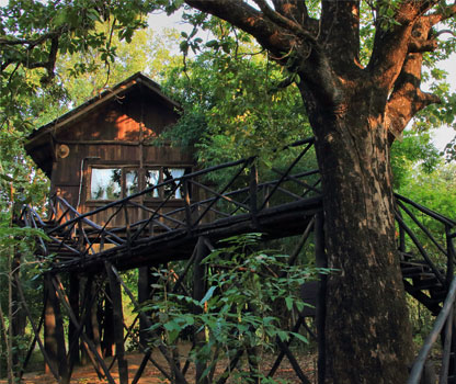 Luxury Resort in Bandhavgarh