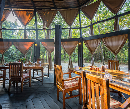 Local Food in Bandhavgarh